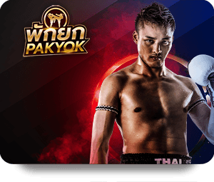 A Beginner’s Guide to TK88 Soi Kèo Cao Thủ Predictions